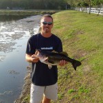 Pond Bass